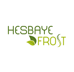 HESBAYE FROST logo